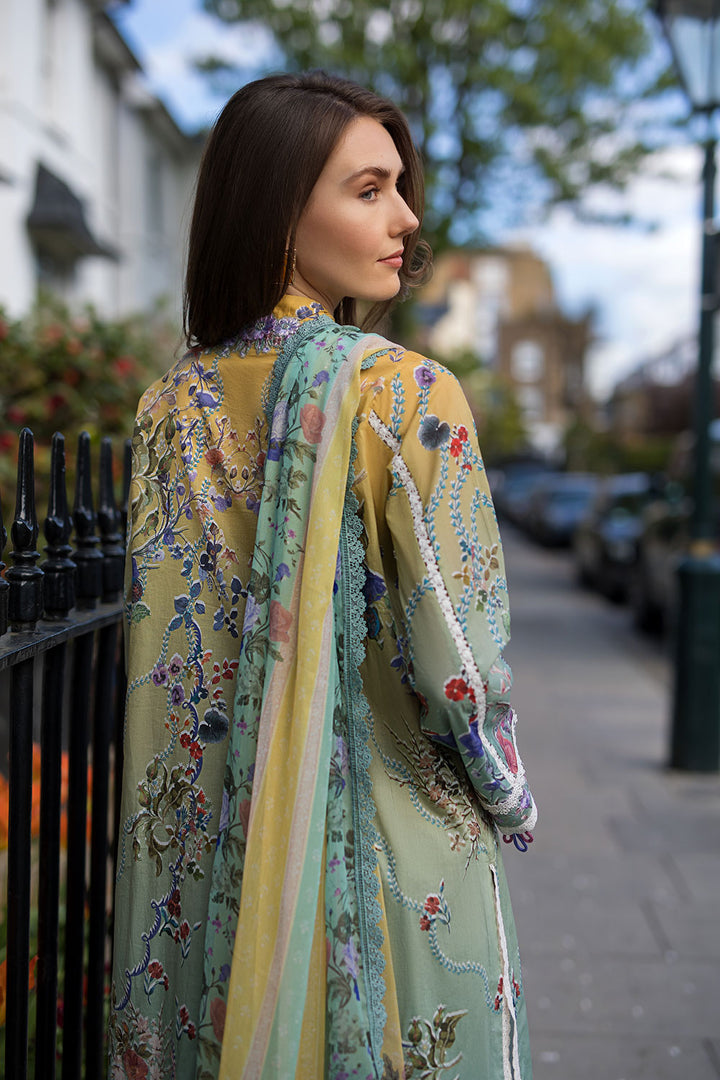 Design 2B SN Basics 2025 UNSTITCHED