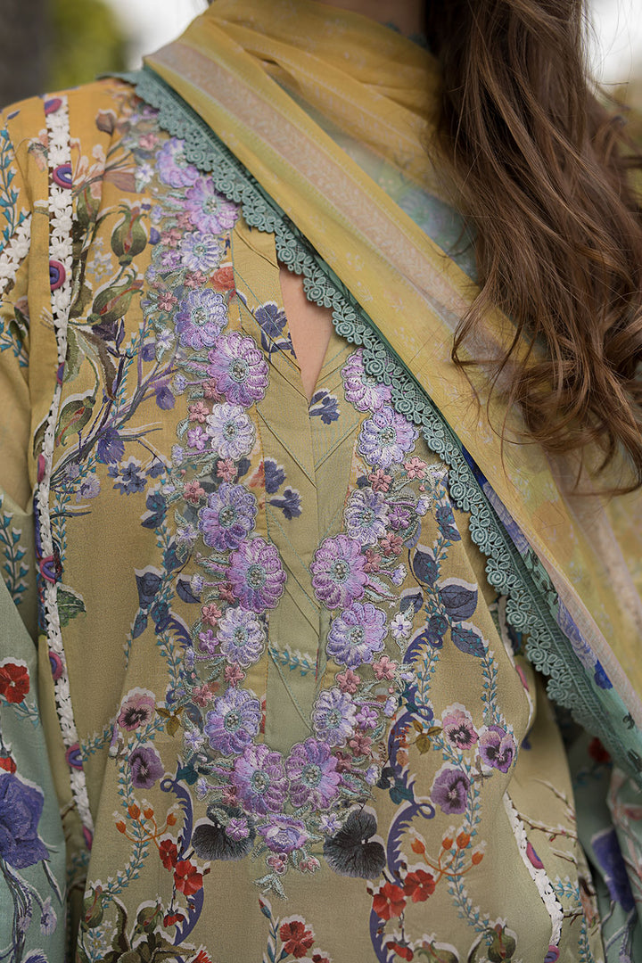 Design 2B SN Basics 2025 UNSTITCHED