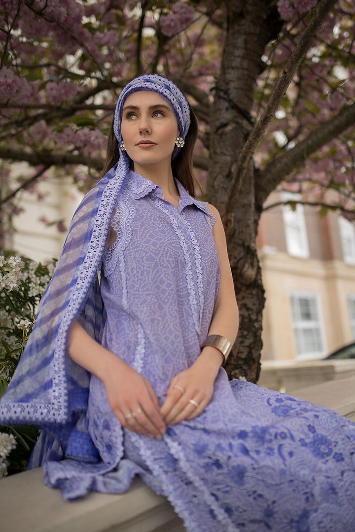 Design 7A SN Basics 2025 UNSTITCHED