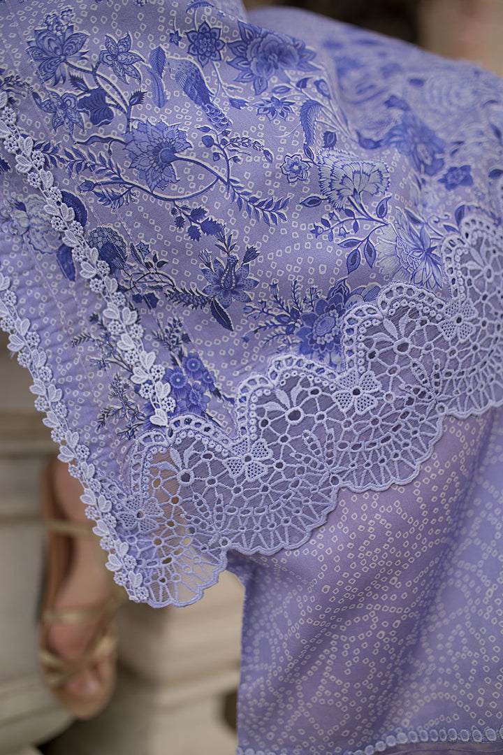 Design 7A SN Basics 2025 UNSTITCHED