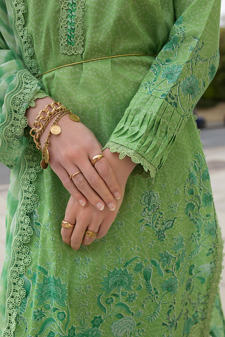 Design 7B SN Basics 2025 UNSTITCHED