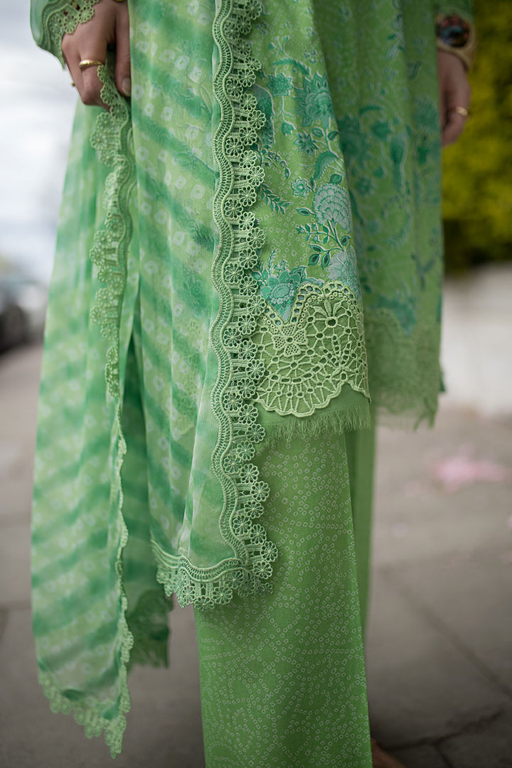 Design 7B SN Basics 2025 UNSTITCHED