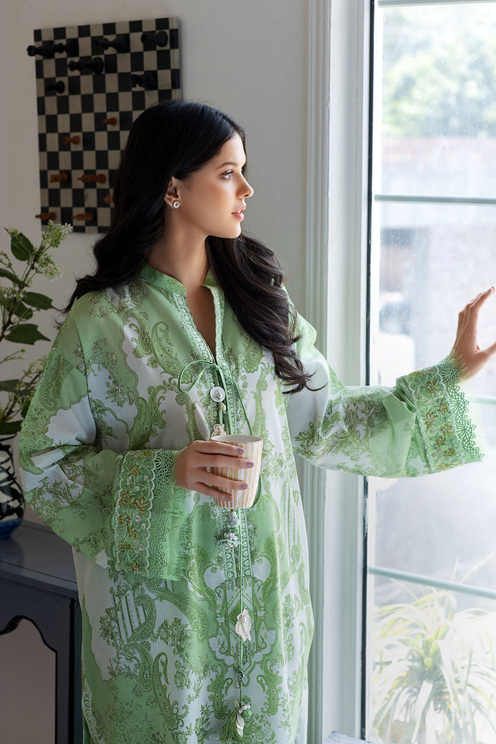Design 3B SN Basics 2024 UNSTITCHED