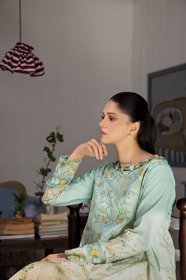 Design 2B SN Basics 2024 UNSTITCHED