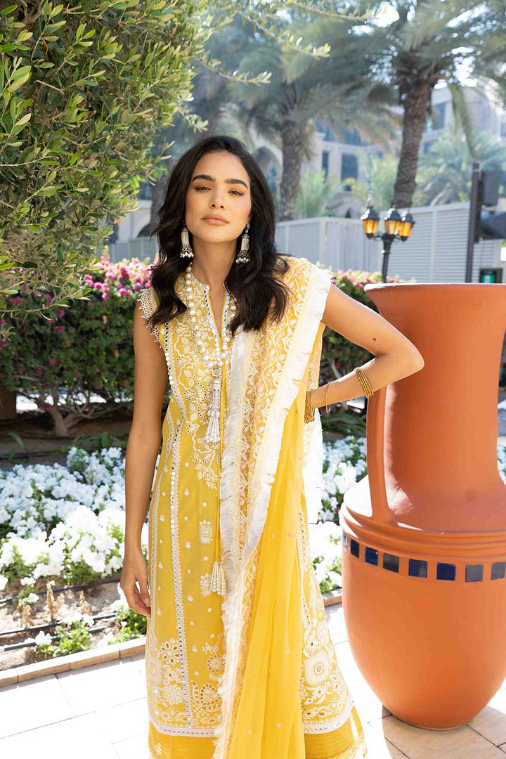 Design 6A Luxury Lawn 2022 Unstitched